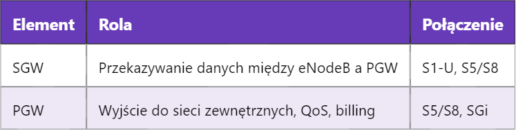 Funkcje i współdziałanie SGW oraz PGW w architekturze LTE